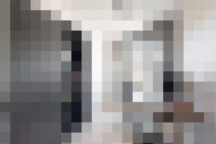 Sterappel 36 Fijnaart thumbnail 35