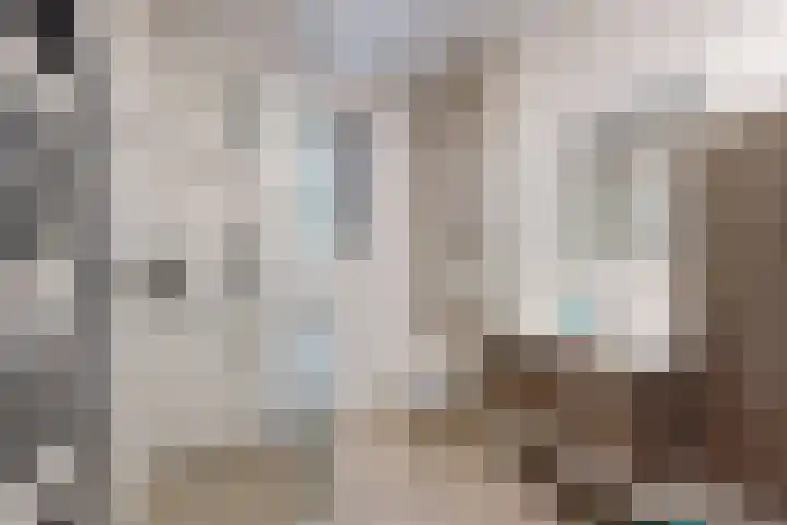 Sterappel 36 Fijnaart thumbnail 36