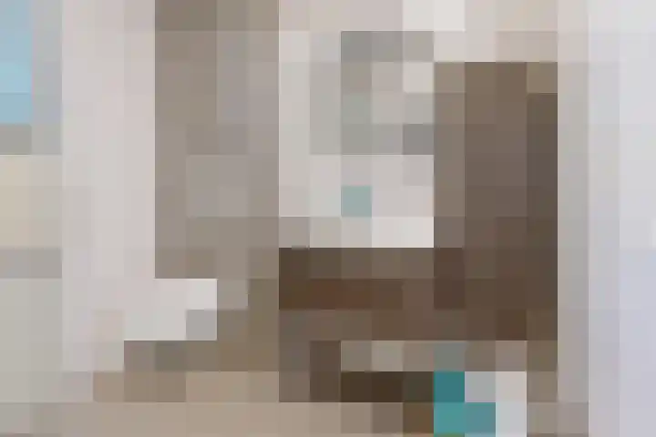 Sterappel 36 Fijnaart thumbnail 37