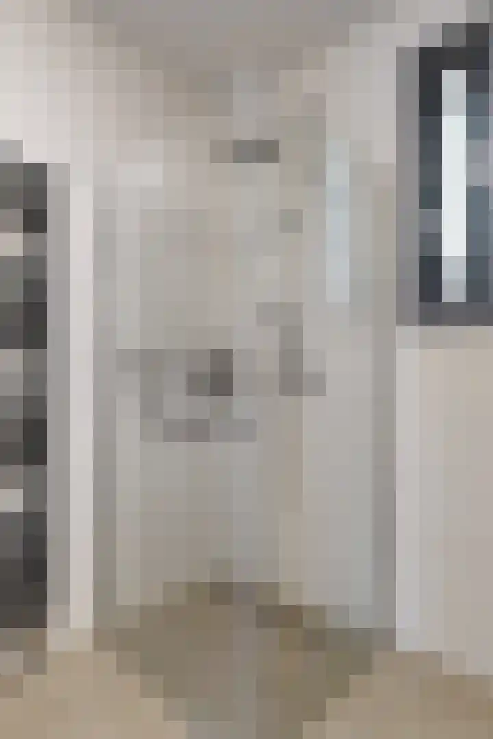 Sterappel 36 Fijnaart thumbnail 38