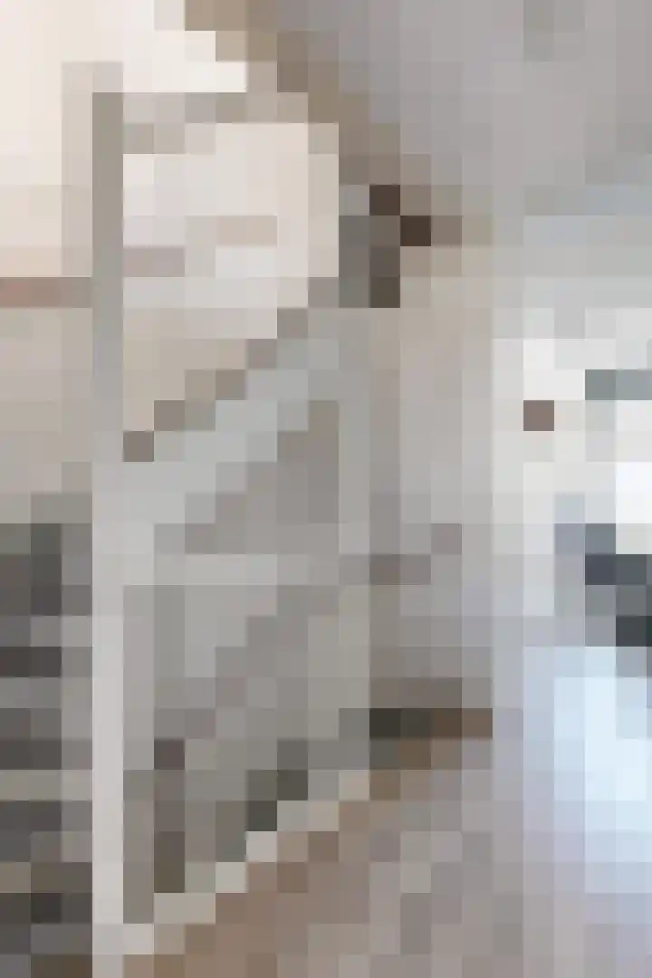 Sterappel 36 Fijnaart thumbnail 39