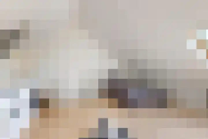 Sterappel 36 Fijnaart thumbnail 40