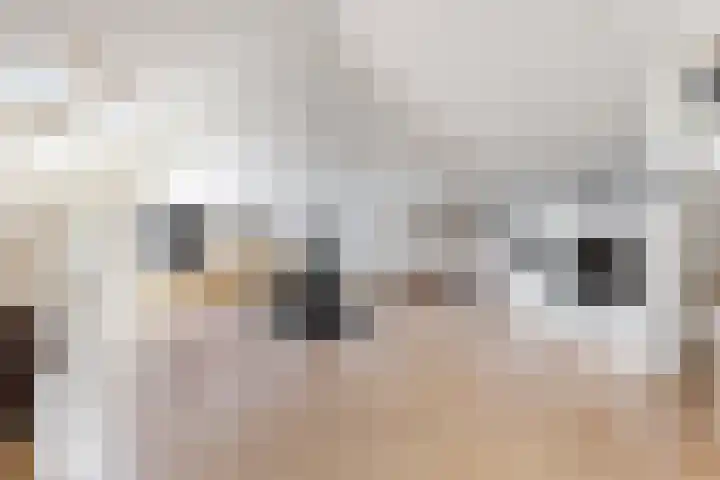 Sterappel 36 Fijnaart thumbnail 42