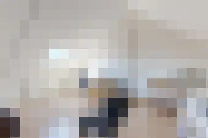 Sterappel 36 Fijnaart thumbnail 43