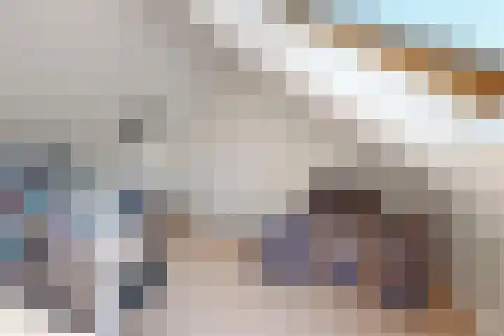Sterappel 36 Fijnaart thumbnail 44
