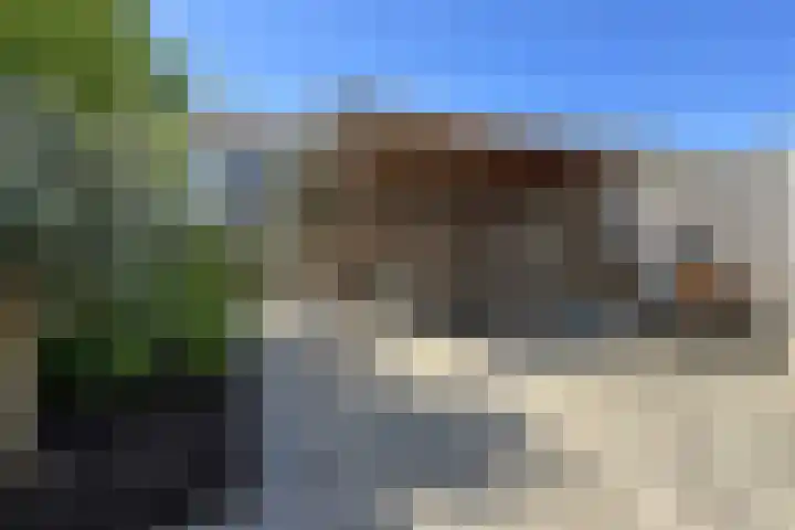 Sterappel 36 Fijnaart thumbnail 46
