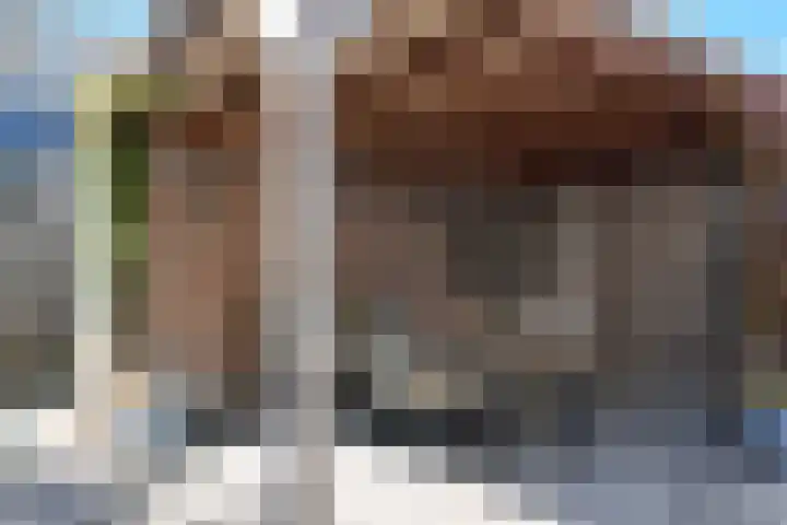 Sterappel 36 Fijnaart thumbnail 48