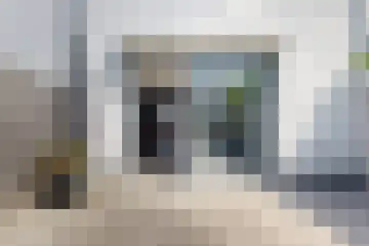 Sterappel 36 Fijnaart thumbnail 50