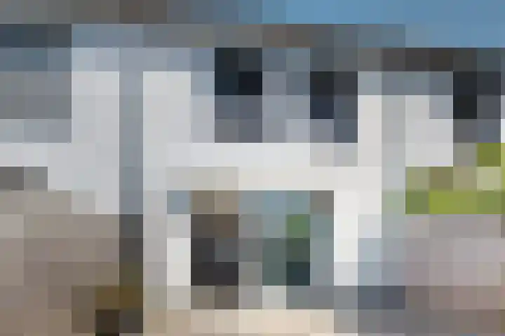 Sterappel 36 Fijnaart thumbnail 51