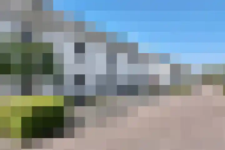 Sterappel 36 Fijnaart thumbnail 53