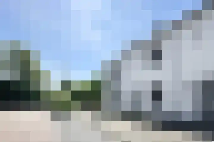 Sterappel 36 Fijnaart thumbnail 56
