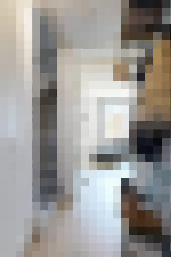 Sterappel 36 Fijnaart thumbnail 8