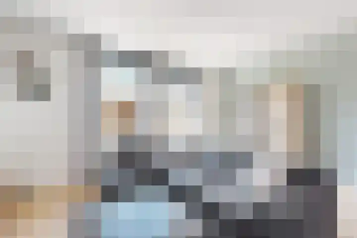 Sterappel 36 Fijnaart thumbnail 9