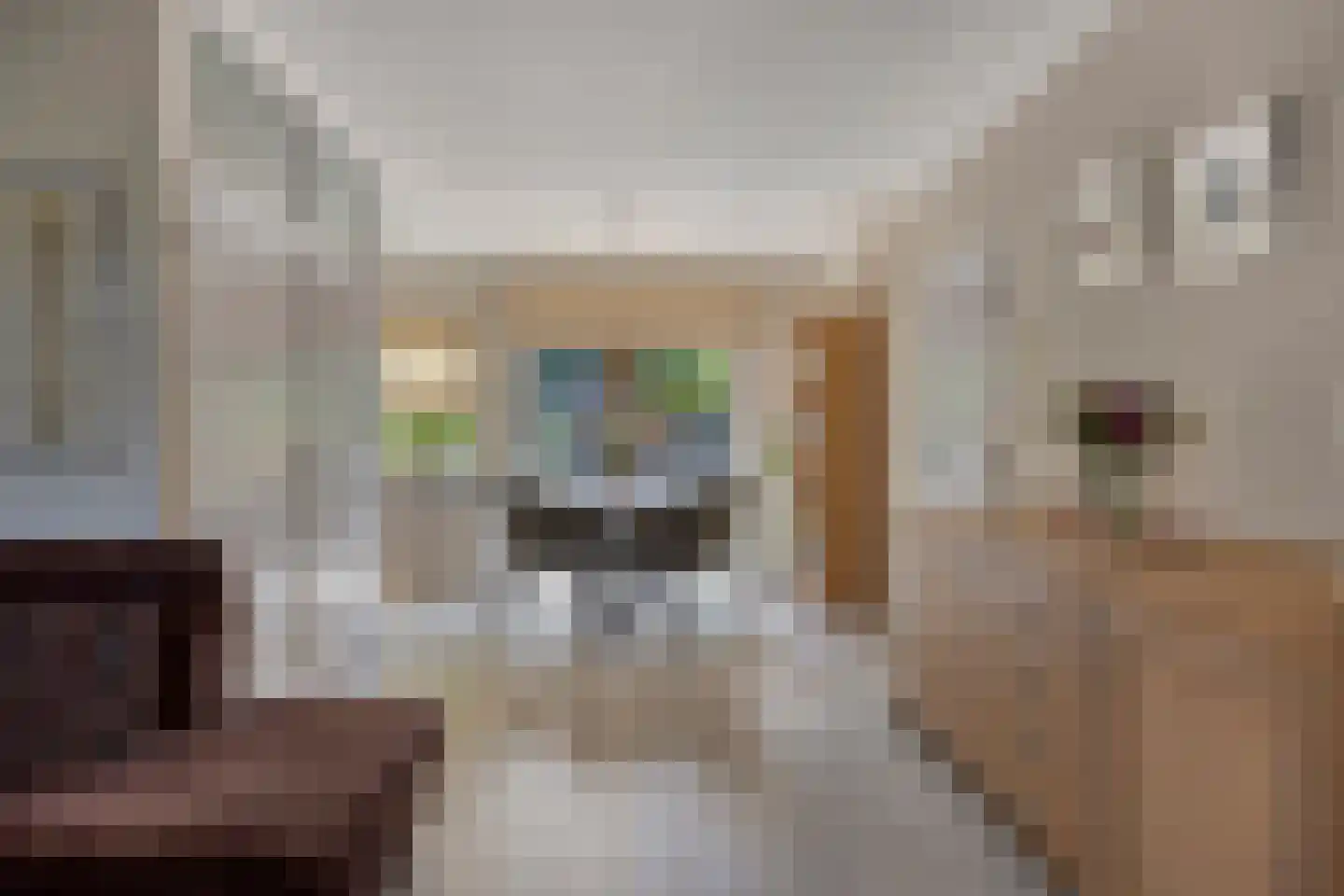 Sterappel 49 Uden thumbnail 12