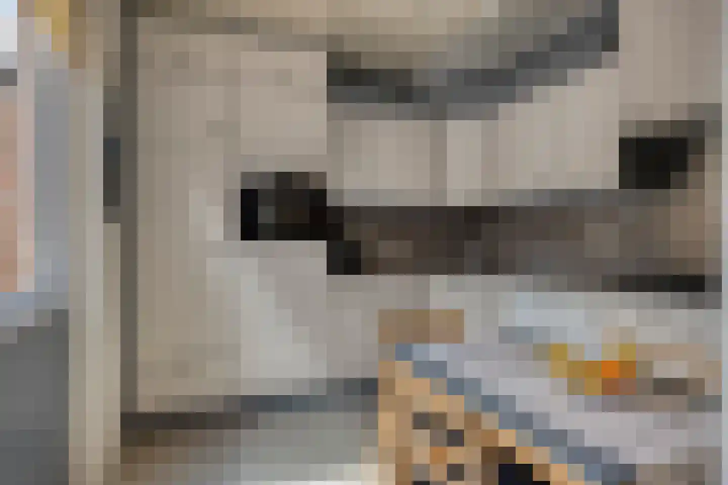 Sterappel 49 Uden thumbnail 15