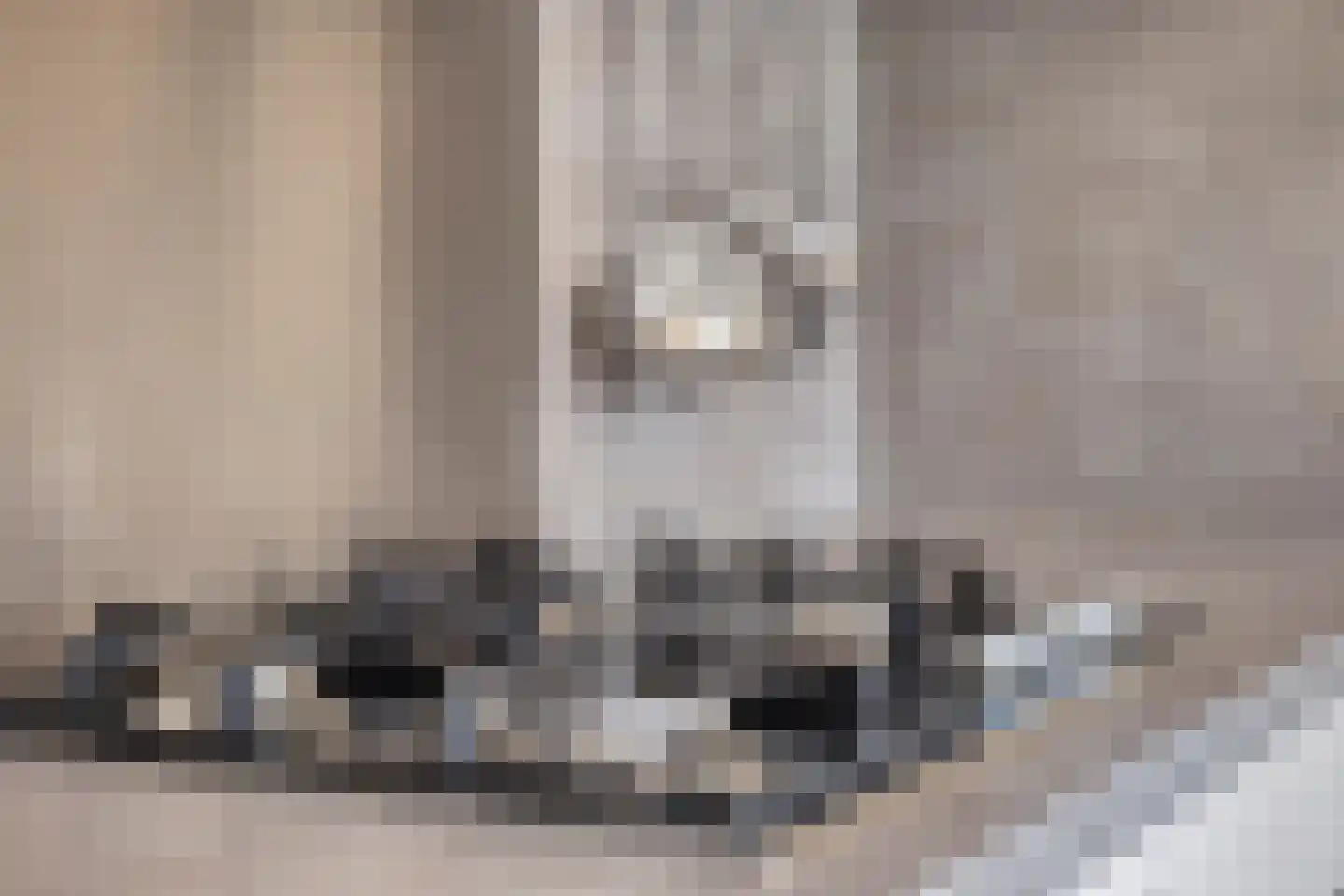 Sterappel 49 Uden thumbnail 18