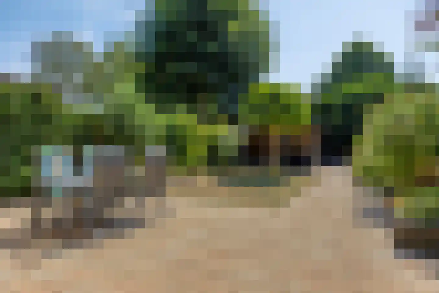 Sterappel 49 Uden thumbnail 29