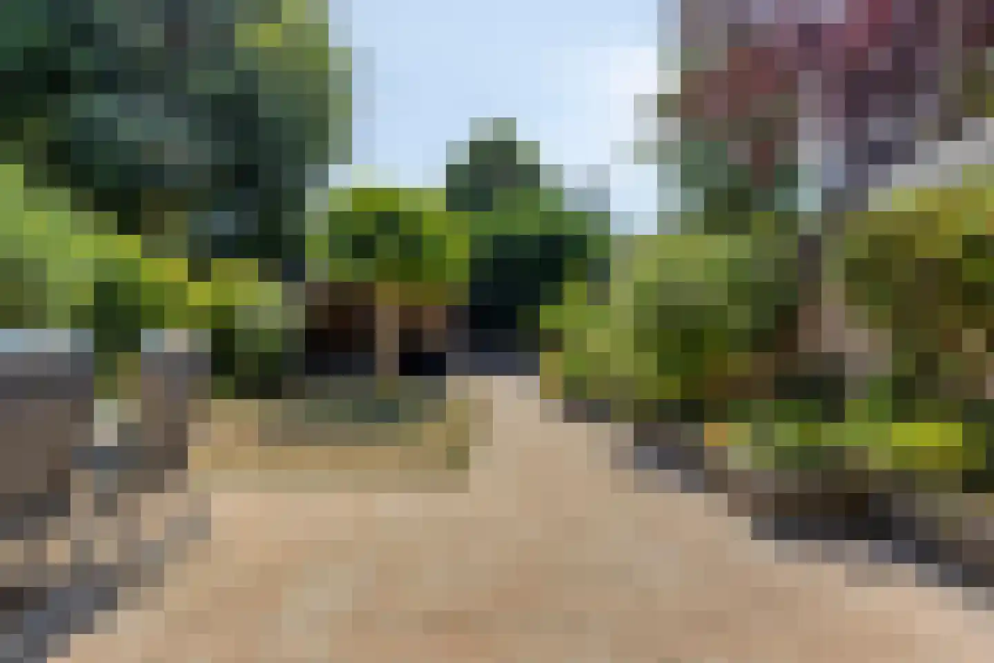 Sterappel 49 Uden thumbnail 30