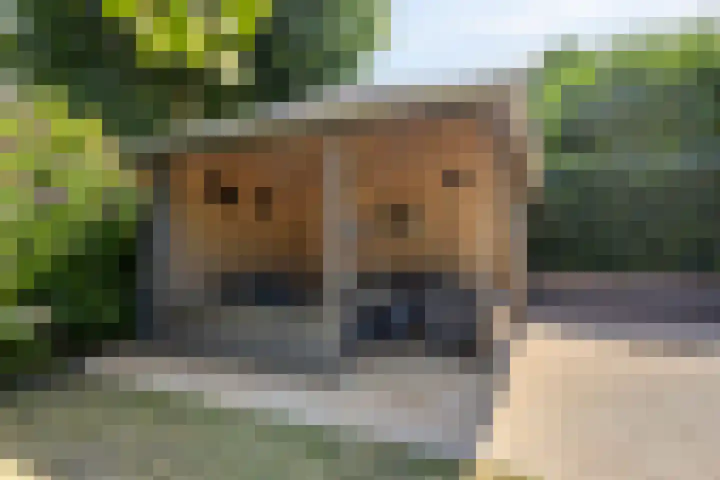 Sterappel 49 Uden thumbnail 33