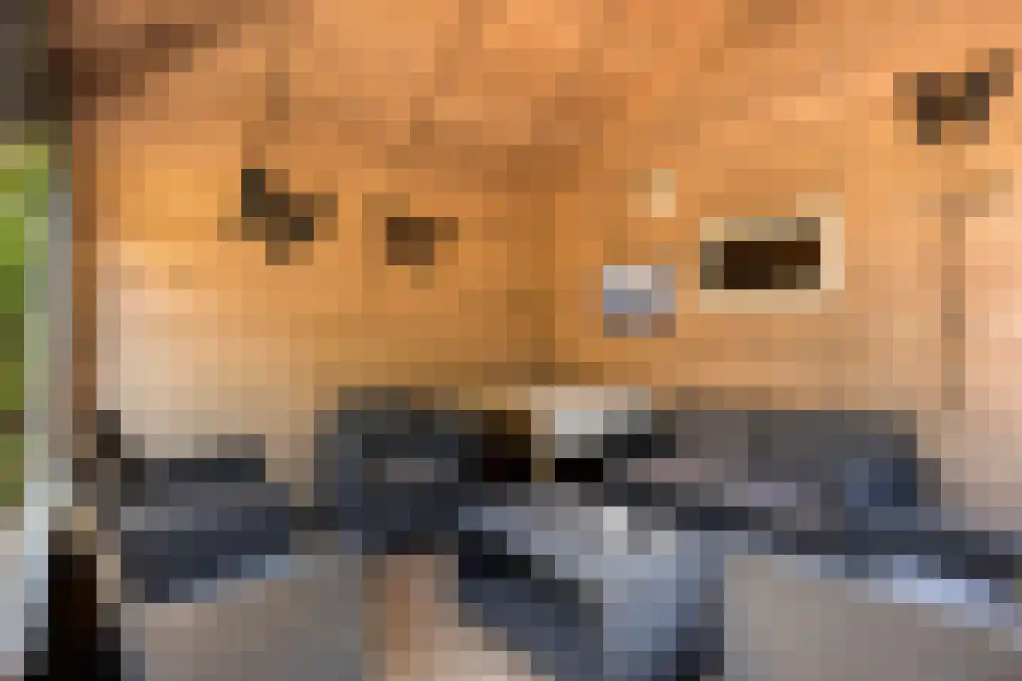 Sterappel 49 Uden thumbnail 34