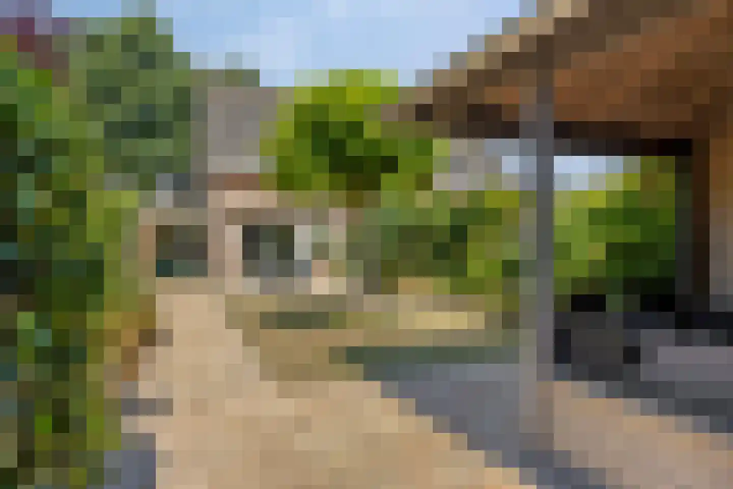 Sterappel 49 Uden thumbnail 36
