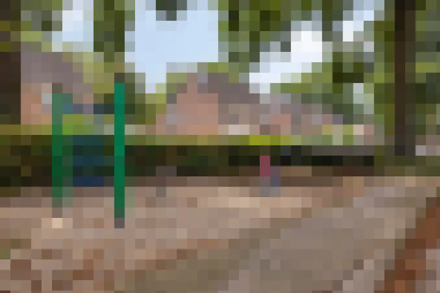 Sterappel 49 Uden thumbnail 40