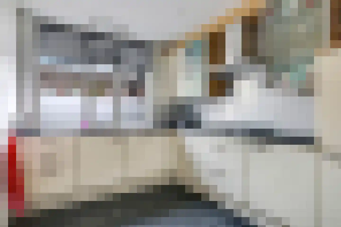 Sterappel 50 Zetten thumbnail 20