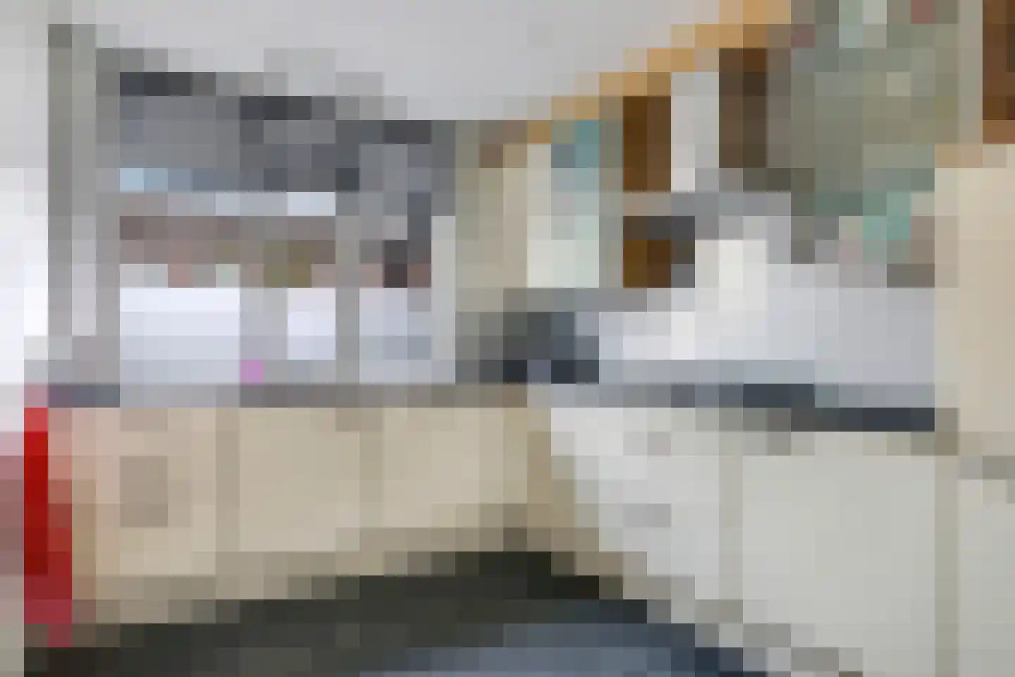 Sterappel 50 Zetten foto 3