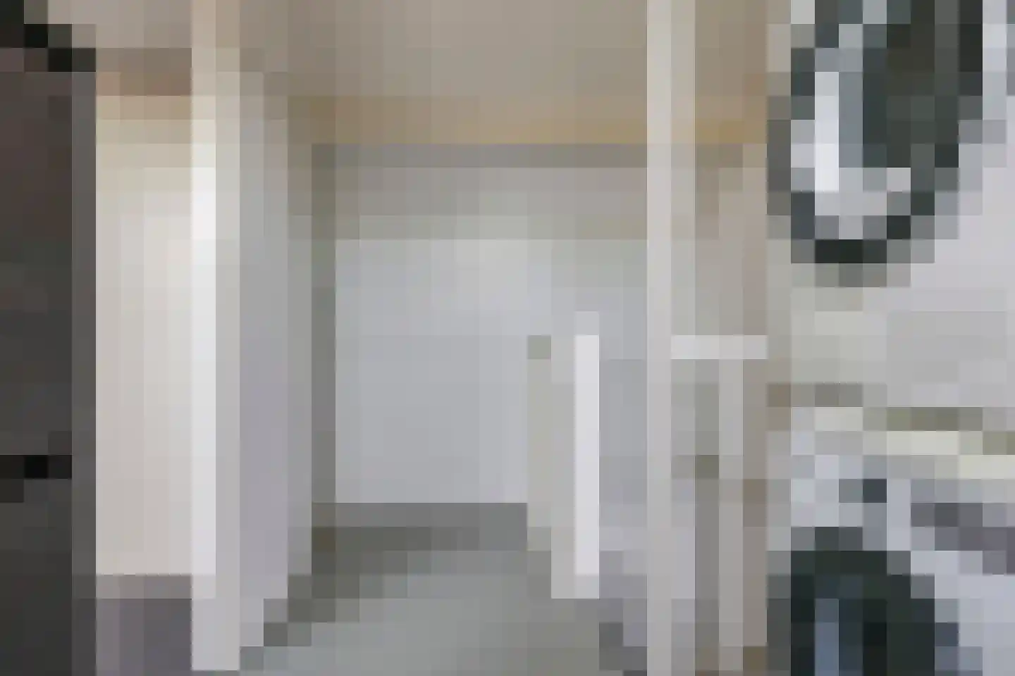 Sterappel 50 Zetten thumbnail 41