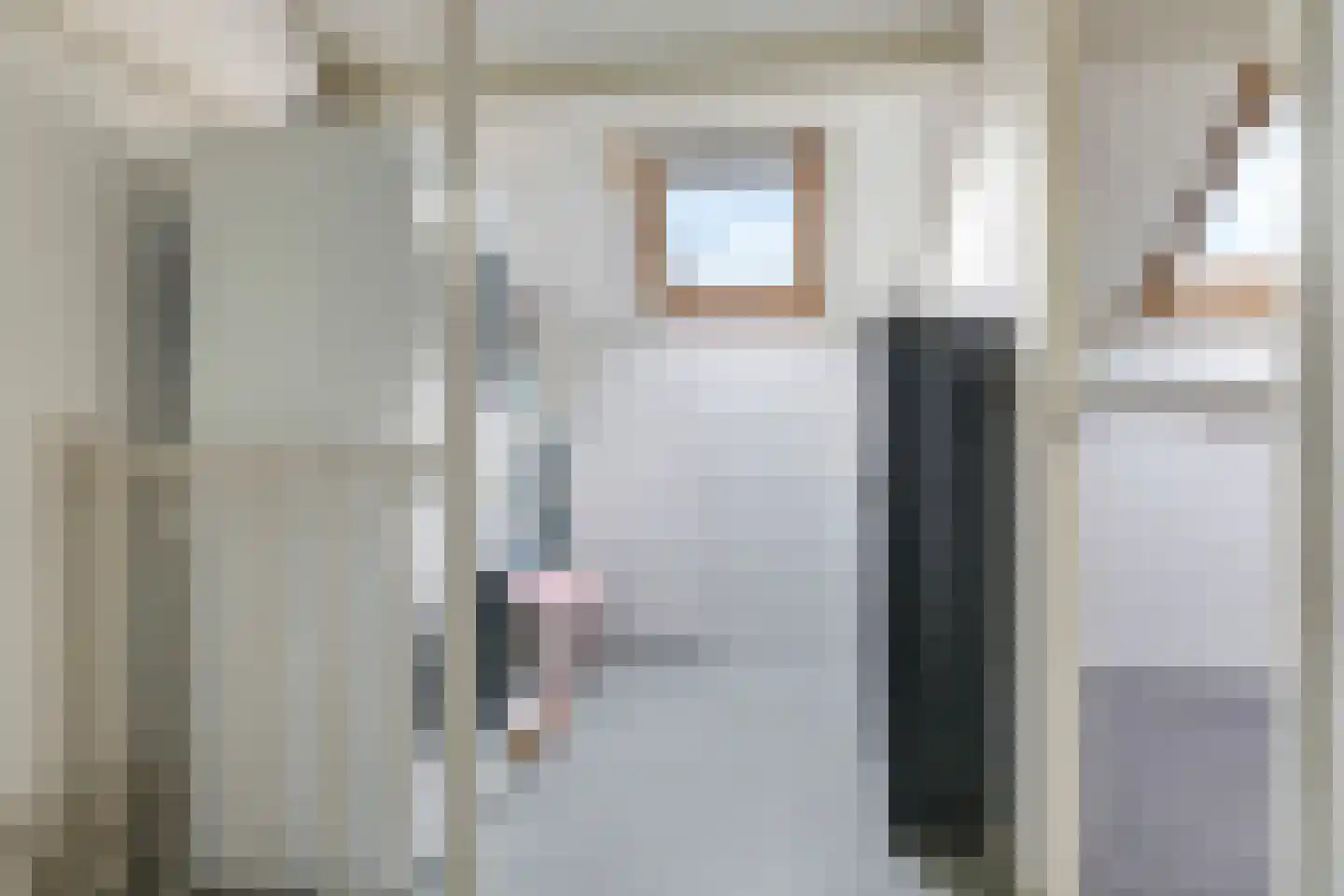 Sterappel 50 Zetten thumbnail 42