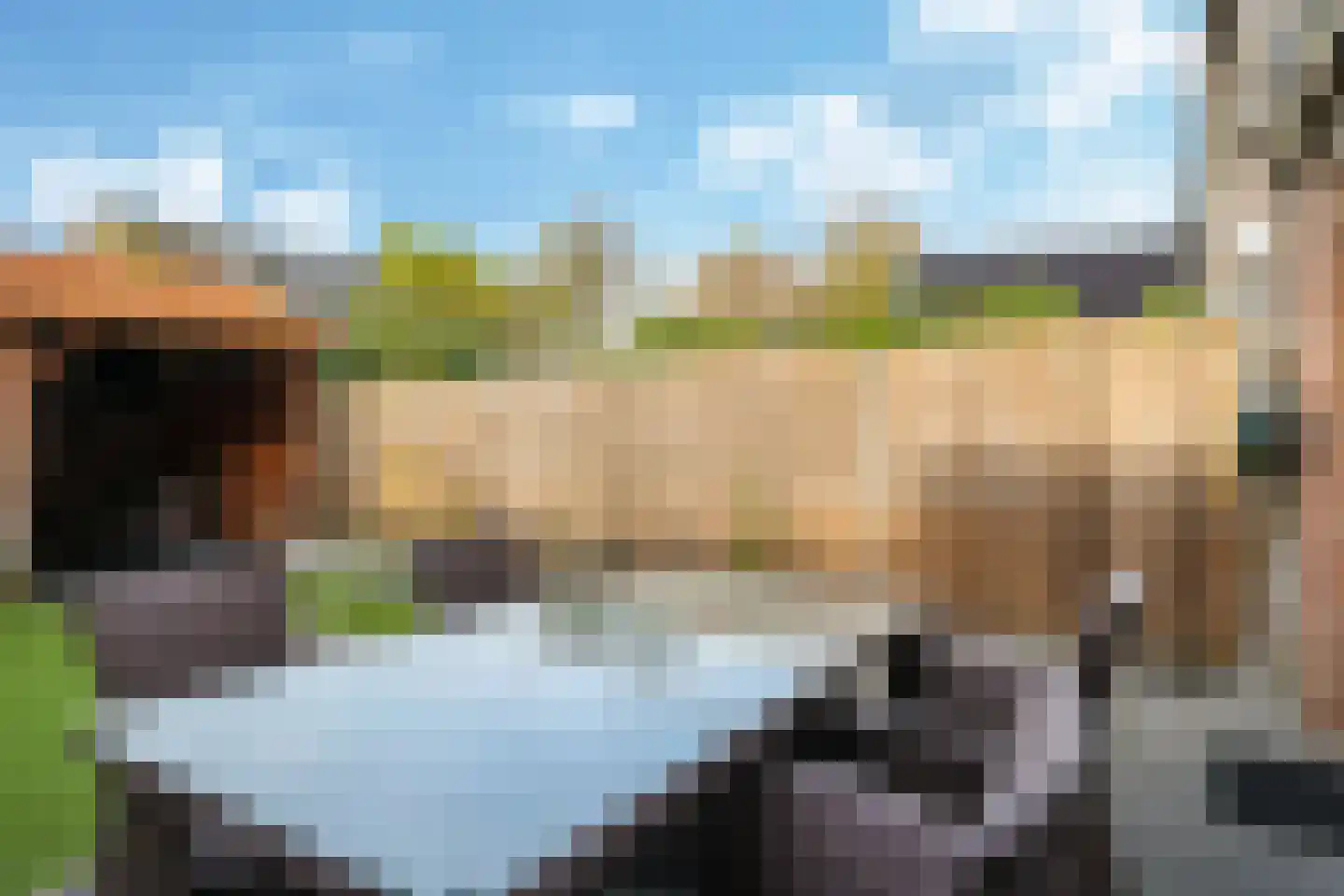 Sterappel 50 Zetten thumbnail 50