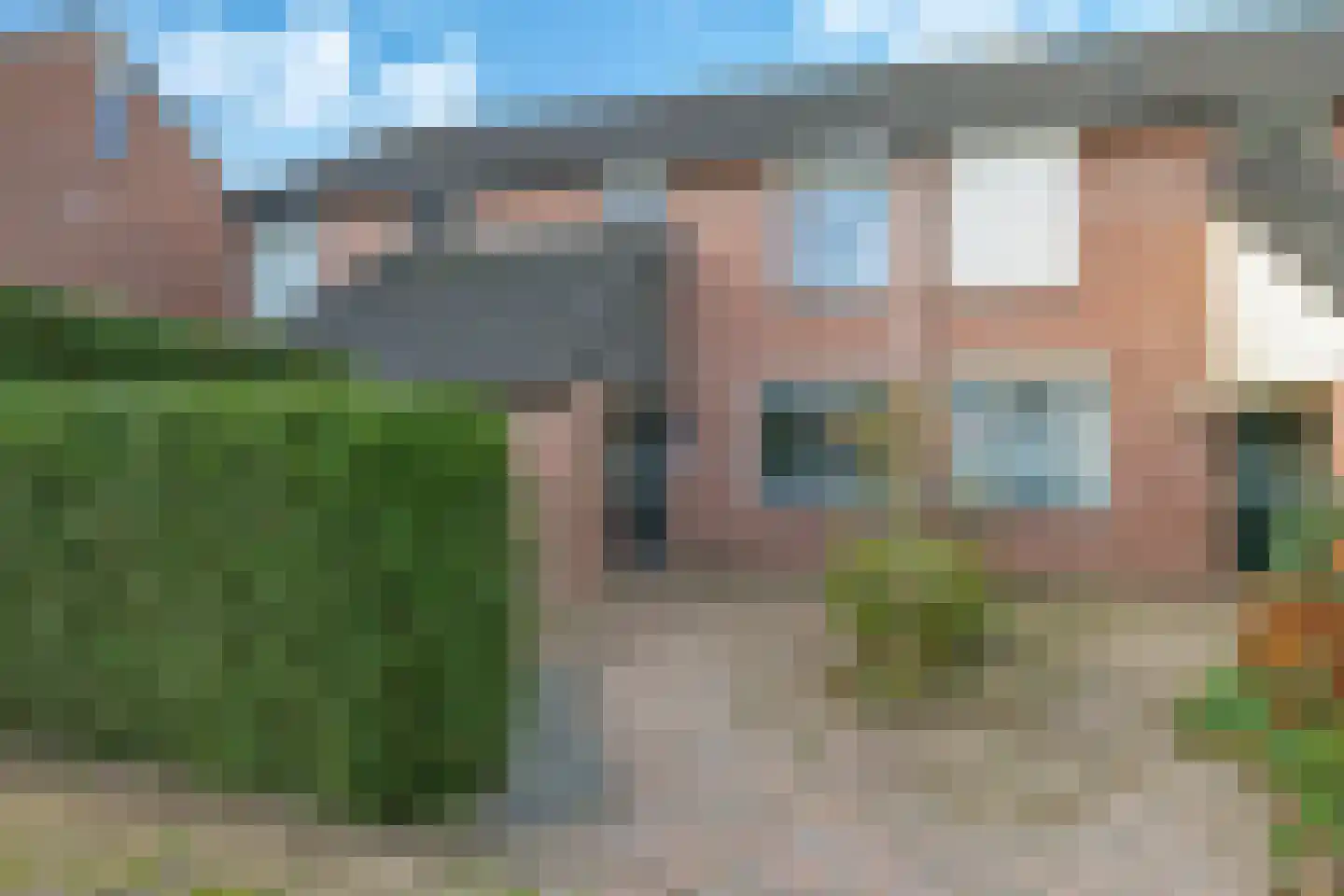 Sterappel 50 Zetten thumbnail 57