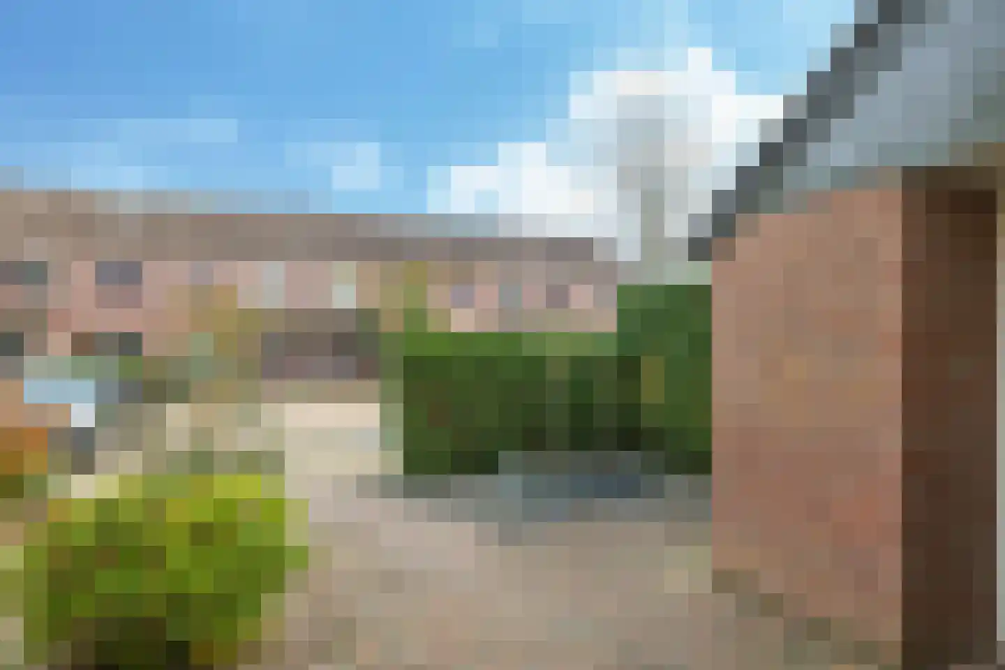 Sterappel 50 Zetten thumbnail 59
