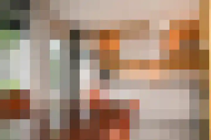 Sterappel 51 Geldermalsen thumbnail 11