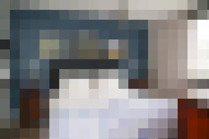 Sterappel 51 Geldermalsen thumbnail 13