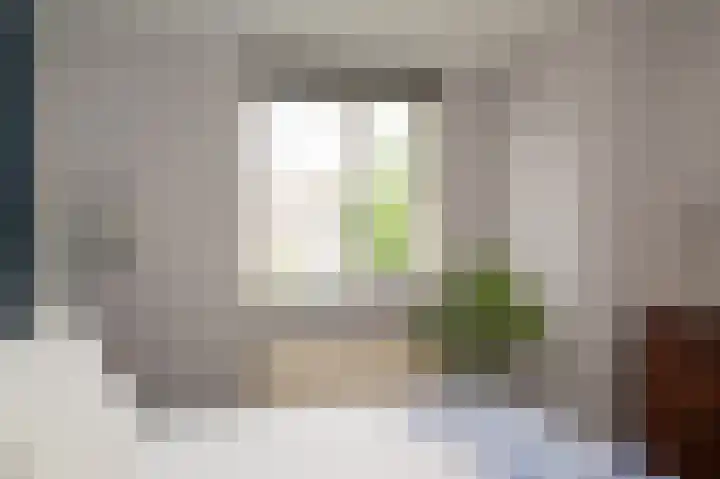 Sterappel 51 Geldermalsen thumbnail 14