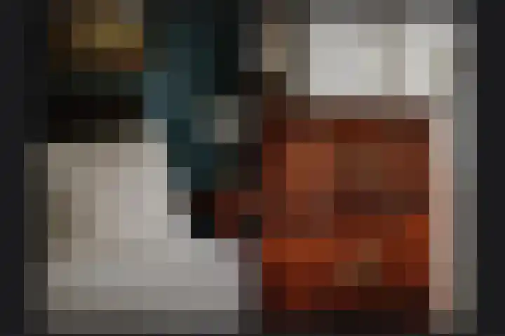 Sterappel 51 Geldermalsen thumbnail 16