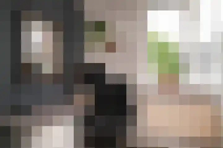 Sterappel 51 Geldermalsen thumbnail 18