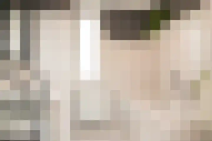 Sterappel 51 Geldermalsen thumbnail 19