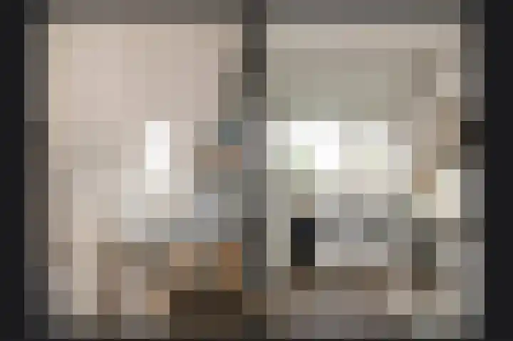 Sterappel 51 Geldermalsen thumbnail 21