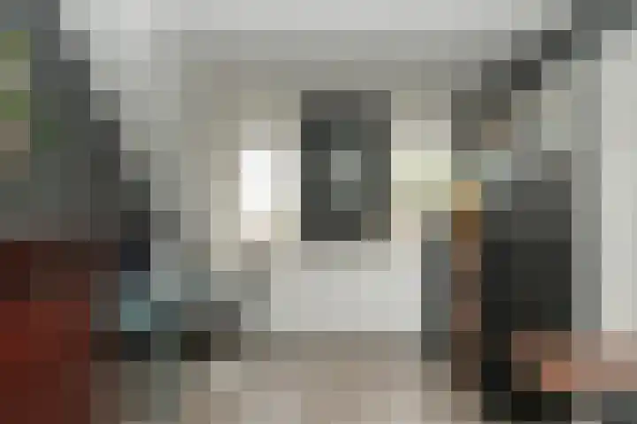Sterappel 51 Geldermalsen thumbnail 23