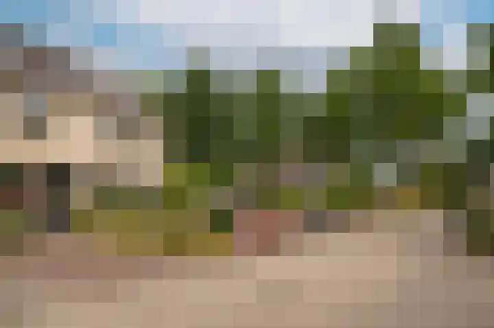Sterappel 51 Geldermalsen thumbnail 28