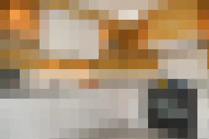 Sterappel 51 Geldermalsen foto 3