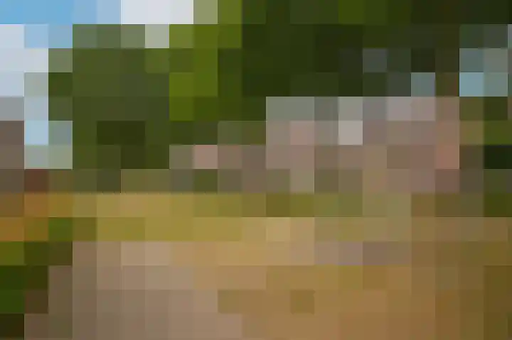 Sterappel 51 Geldermalsen thumbnail 30
