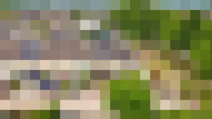 Sterappel 51 Geldermalsen thumbnail 31
