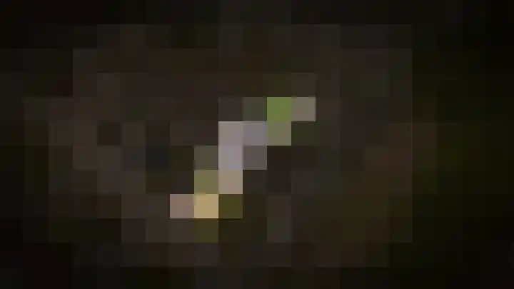 Sterappel 51 Geldermalsen thumbnail 32