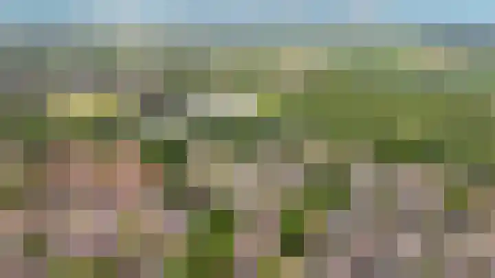 Sterappel 51 Geldermalsen thumbnail 33