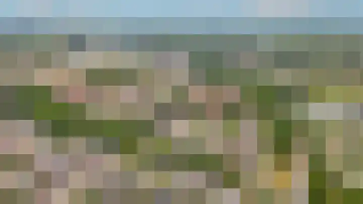 Sterappel 51 Geldermalsen thumbnail 34