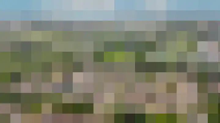 Sterappel 51 Geldermalsen thumbnail 35