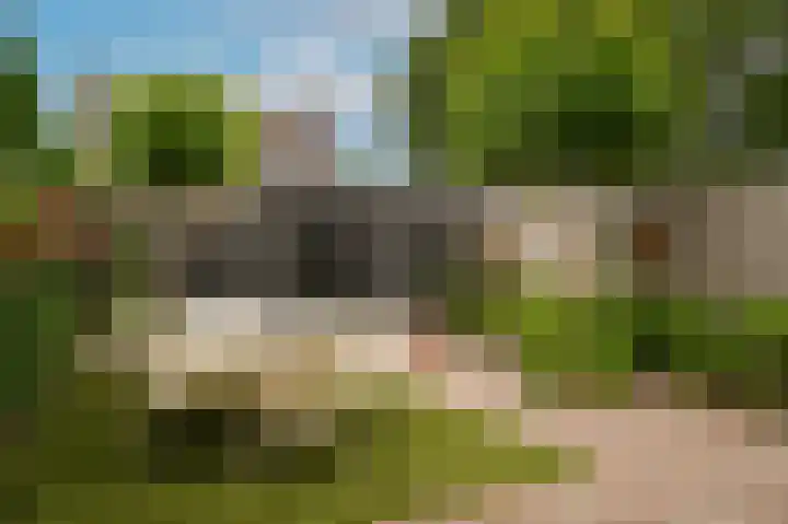 Sterappel 51 Geldermalsen thumbnail 4